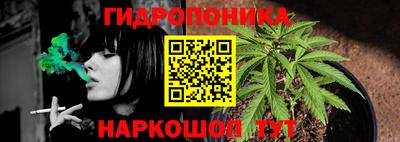 дмт Бузулук