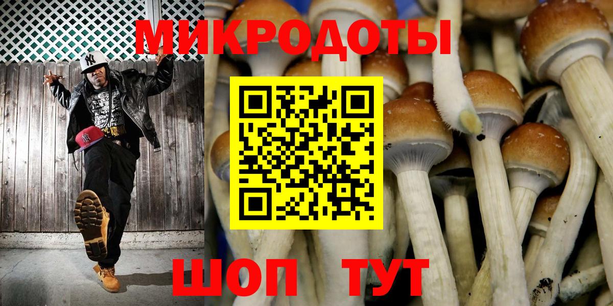 Псилоцибиновые грибы GOLDEN TEACHER Норильск